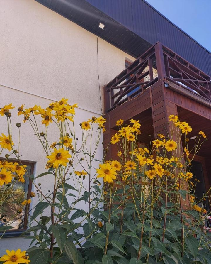 Guest House Tenir Too Naryn Buitenkant foto